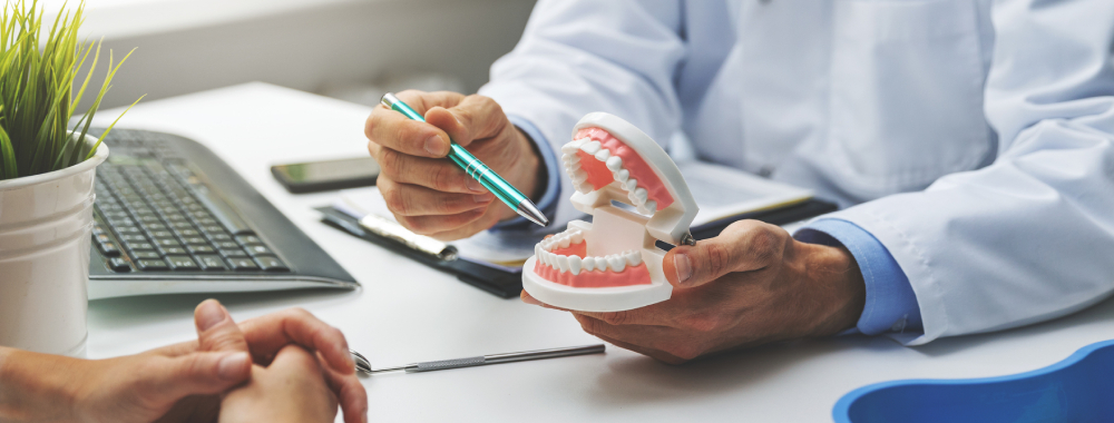 Dentist showing model of teeth to patient